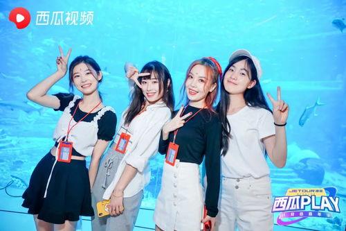 王导爆料横店大瓜视频,娱乐圈幕后真相曝光